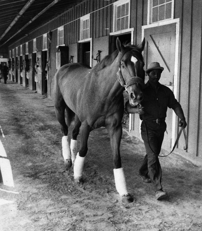 Groom Eddie Sweat leading Secretariat at the shedrow, 1973